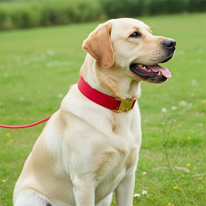 Red Velvet Dog Collars from Wags4Whiskers Pet Accessories Store India