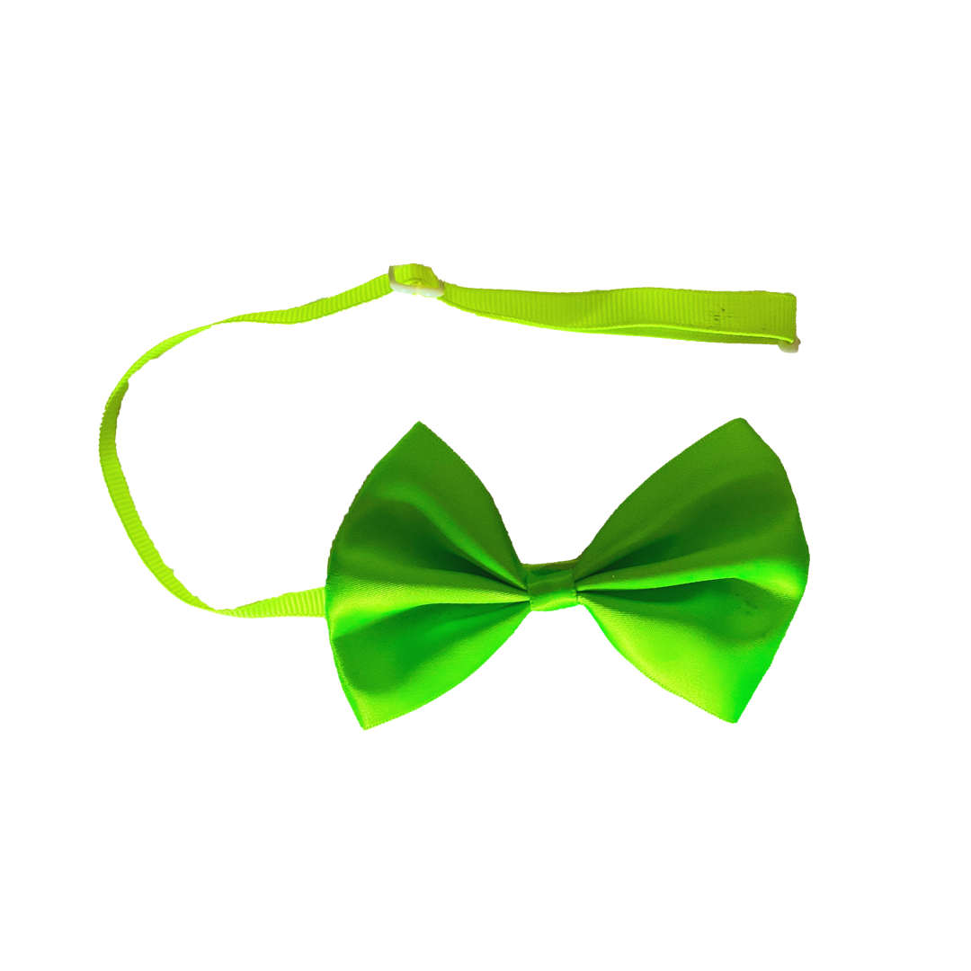 Cat Accessories online from wags4whiskers Pet Store India