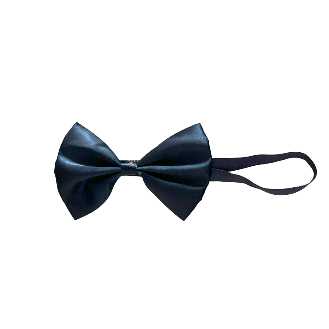 Blue Cat Bow Tie from Wags4Whiskers India
