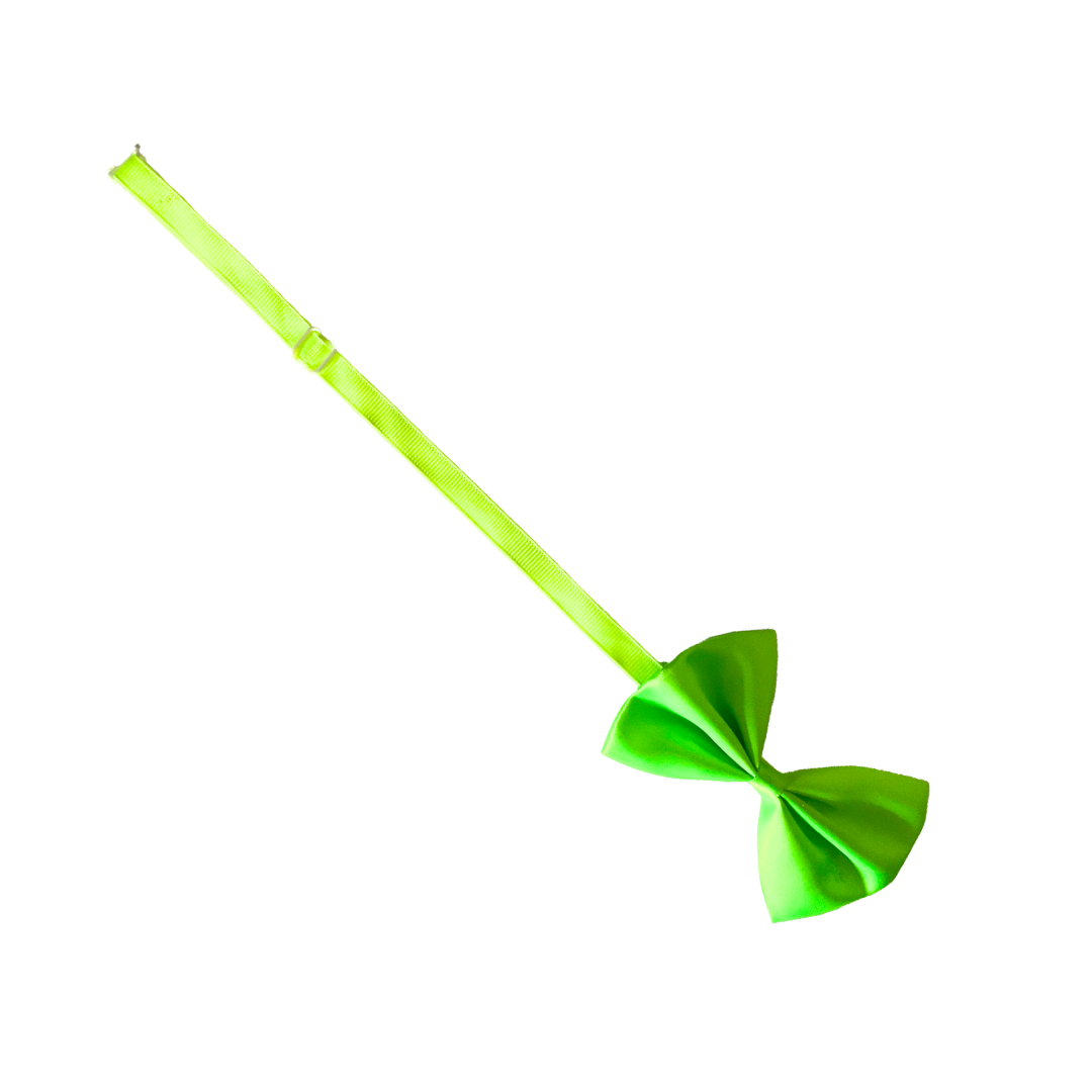 Cat Accessories online from wags4whiskers Pet Store India