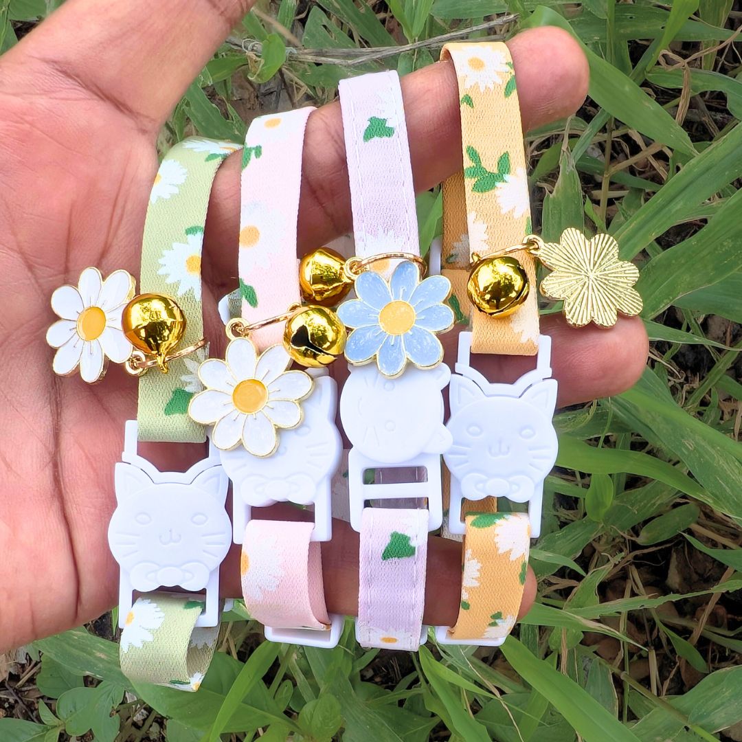 Floral Cat collars and accessories from wags4whiskers Pet Supplies India