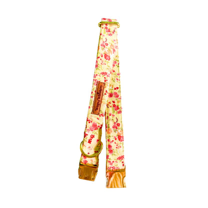 Yellow dog collars from Wags4Whiskers Pet Accessories India