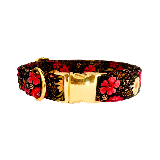 Dog Collar Belts from Wags4Whiskers Pet Supplies India