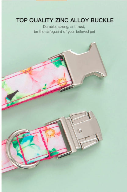 Dog collar belts from Wags4Whiskers India