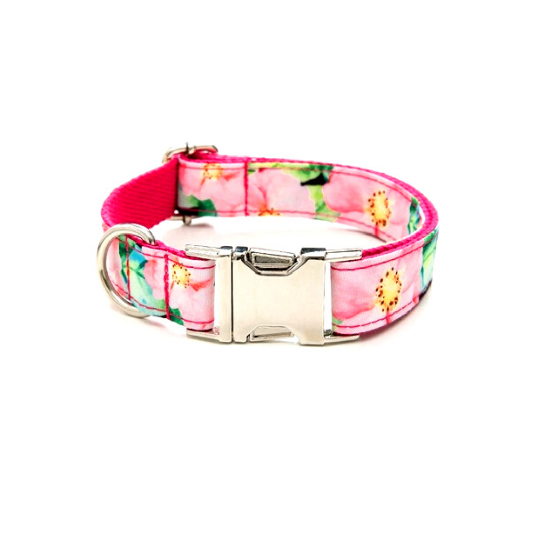 Dog collar belts from Wags4Whiskers India