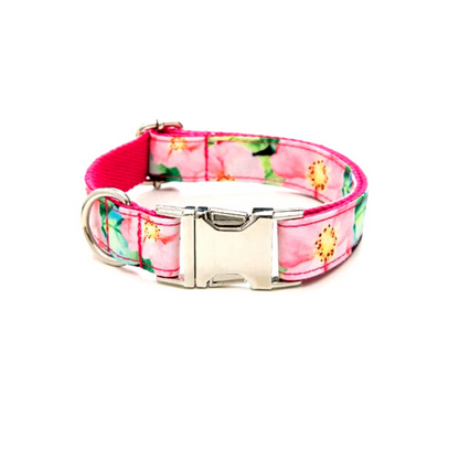 Dog collar belts from Wags4Whiskers India