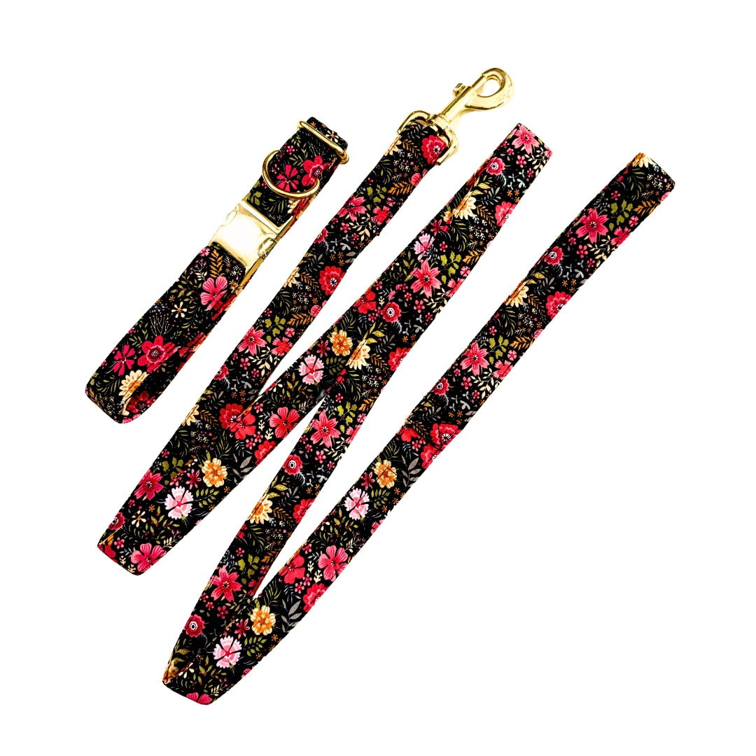 Floral Rush Dog Collars fand Leashes rom Wags4Whiskers Pet Store