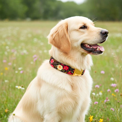 Floral Rush Dog Collar Belt