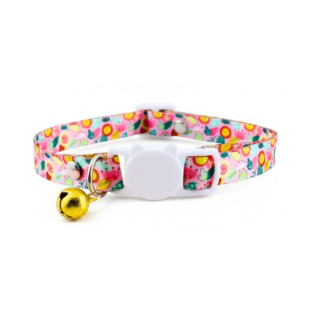 Fun Cat Collars India from Wags4Whiskers Pet Supplies Store Online
