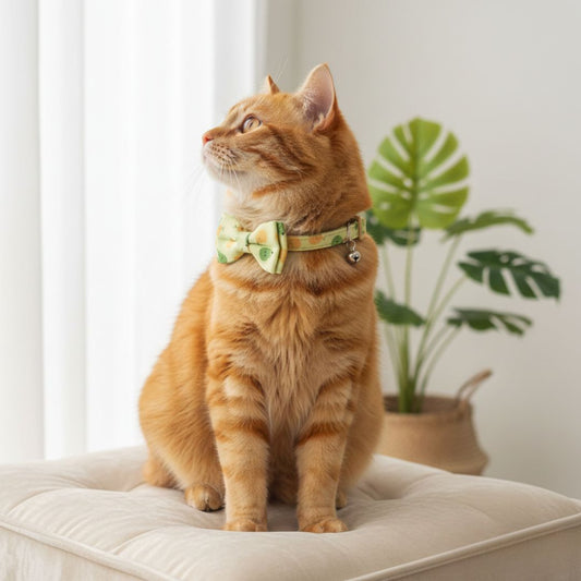 Cat Bow Collar with bell India from Wags4Whiskers Pet Store