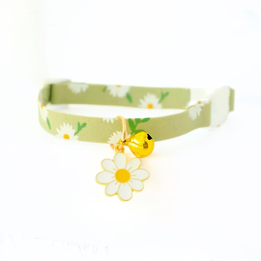 Cat Collar and Leash from Wags4Whiskers Pet Accessories  and Supplies India Online