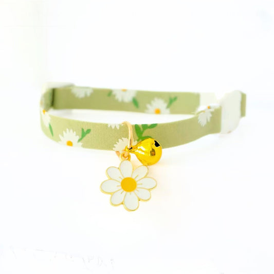 Cat Collar and Leash from Wags4Whiskers Pet Accessories  and Supplies India Online