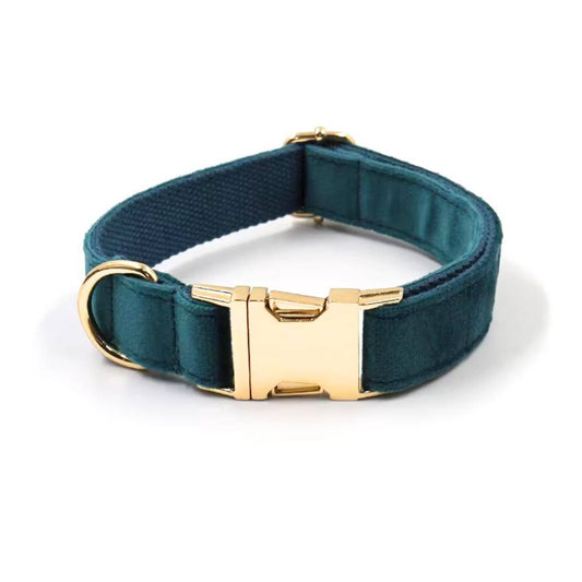 Velvet Dog Collars from Wags4Whiskers Pet Accessories Store India