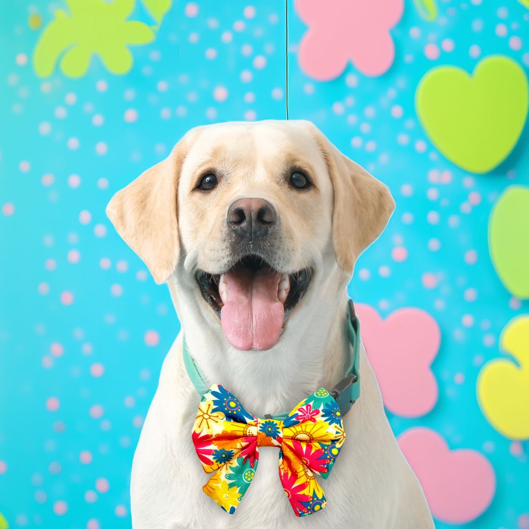 Happy Vibes Sailor Bow from Wags4Whiskers Pet Store