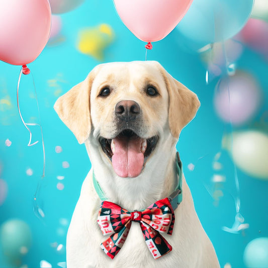 Joyful Plaid Style Sailor Bows from Wags4Whiskers Pet Store