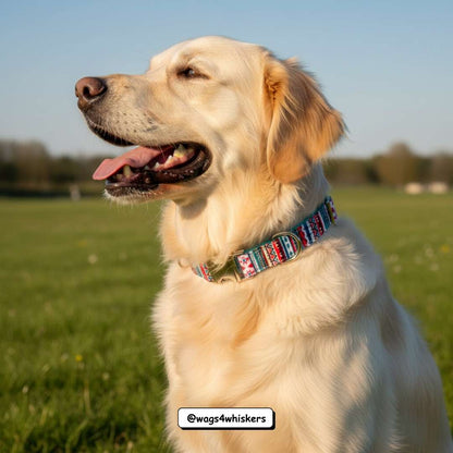 Dog Collar India from Wag4Whiskers Pet Accessories Store