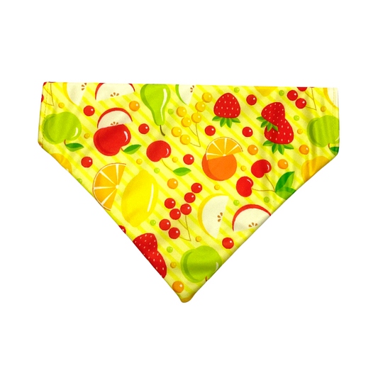 Love for Fruits Dog Bandana from Wags4Whiskers
