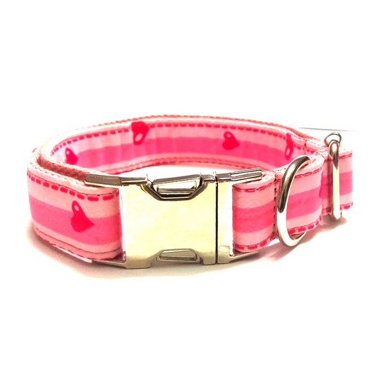 Dog Collar belts from Wags4Whiskers India