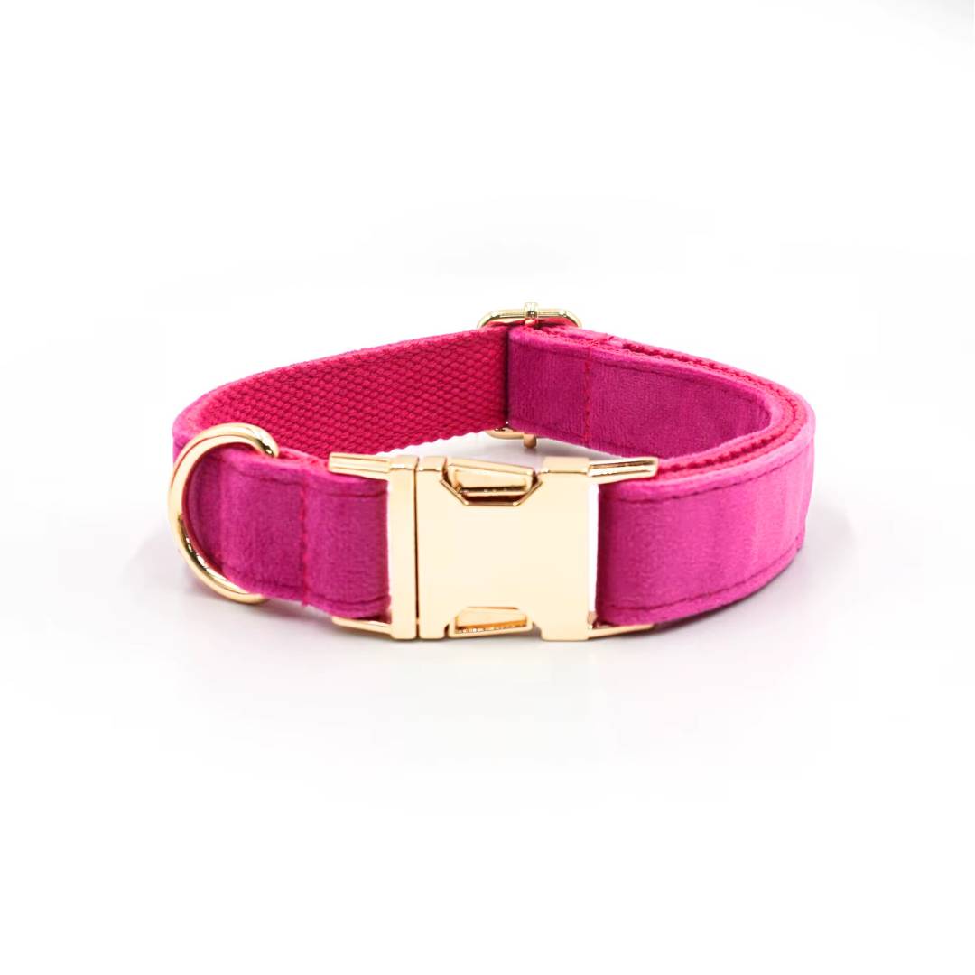 Velvet Dog collars from Wags4Whikers Pet Accessories Store India