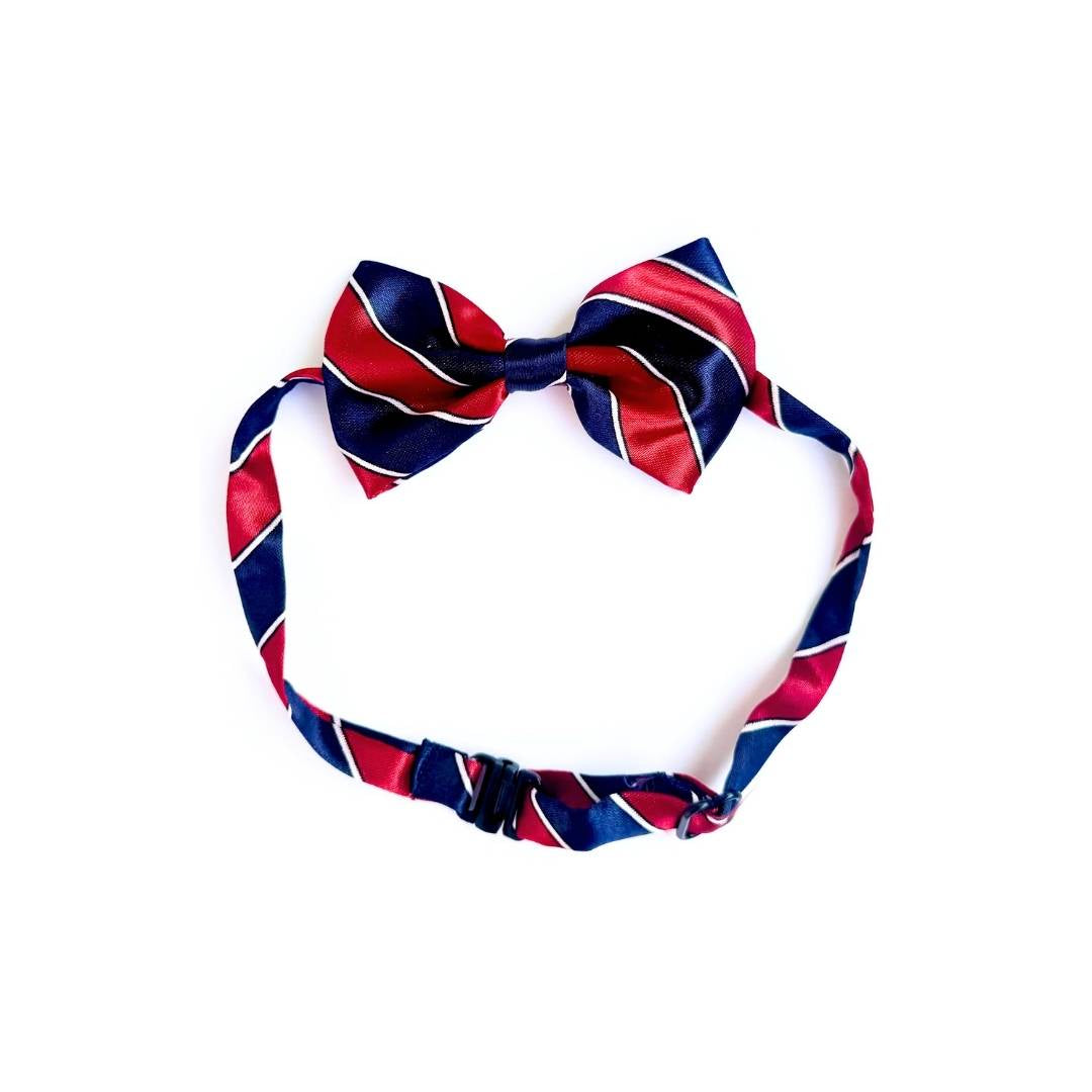 Cat Bow Tie – Blue & Maroon Stripes