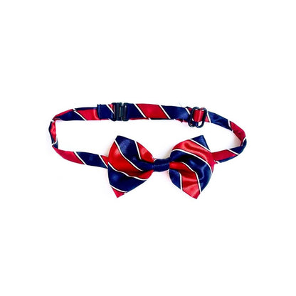 Cat Bow Tie – Blue & Maroon Stripes