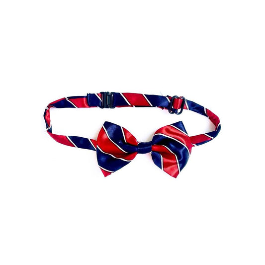 Cat Bow Tie – Blue & Maroon Stripes