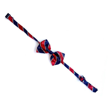 Cat Bow Tie – Blue & Maroon Stripes