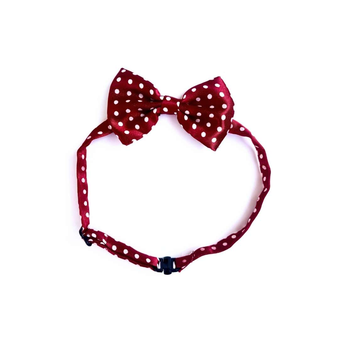 Classic Maroon Polka Cat Bow Tie
