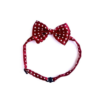 Classic Maroon Polka Cat Bow Tie