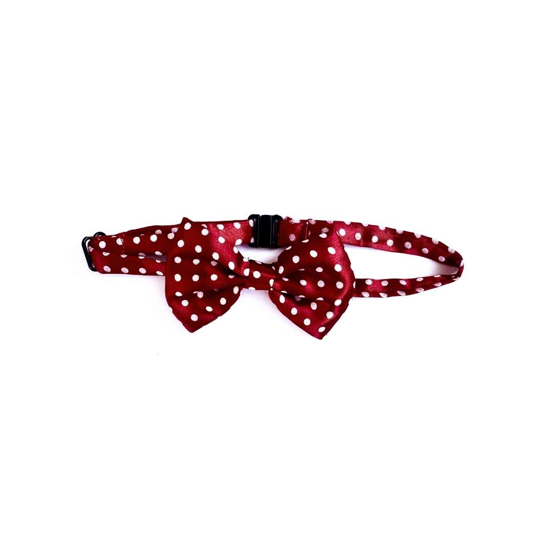 Classic Maroon Polka Cat Bow Tie