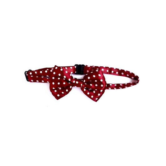 Classic Maroon Polka Cat Bow Tie