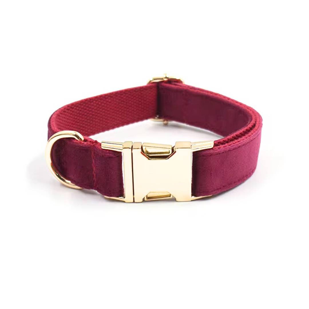Velvet Dog Collars from Wags4Whiskers Pet Accessories Store India
