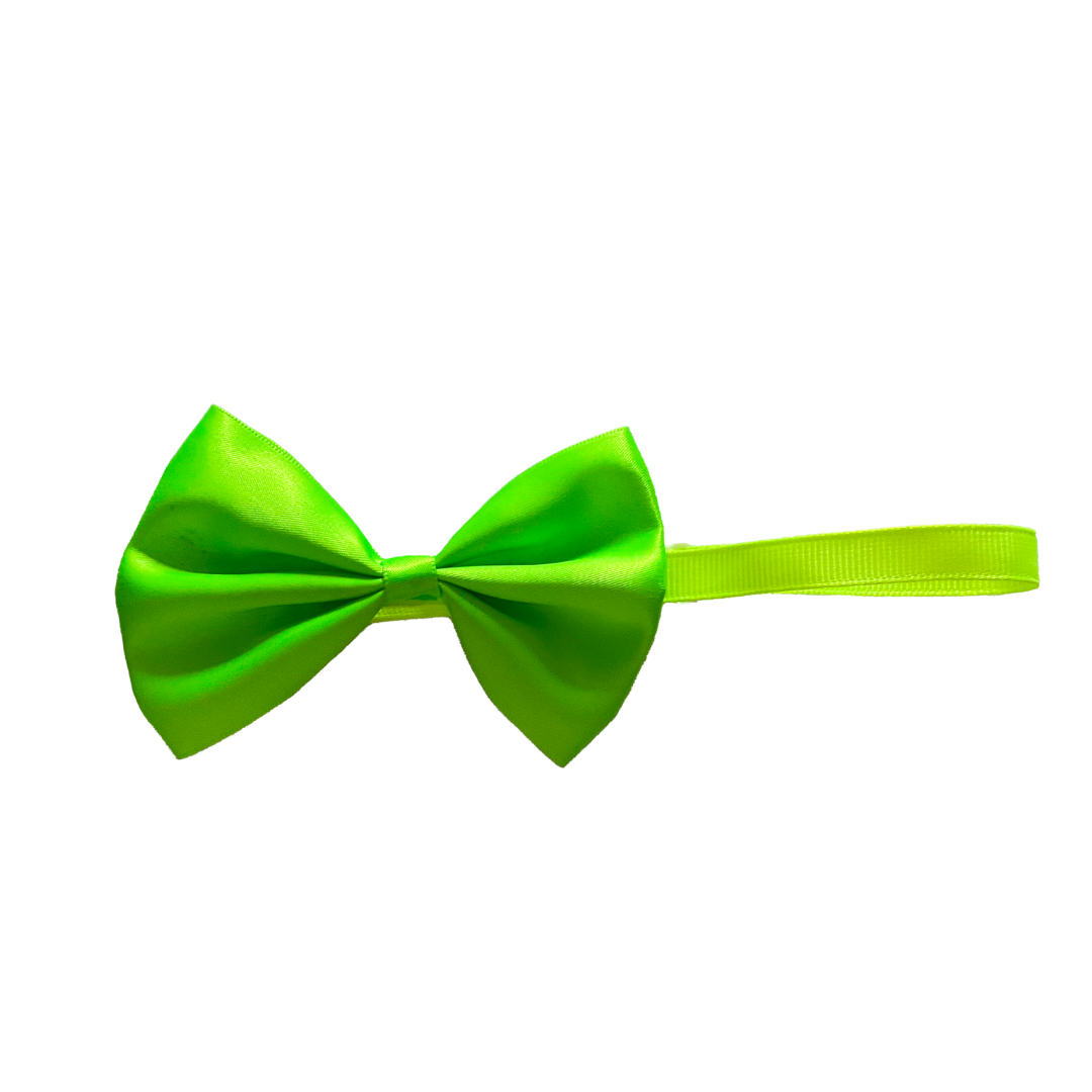 Cat Accessories online from wags4whiskers Pet Store India