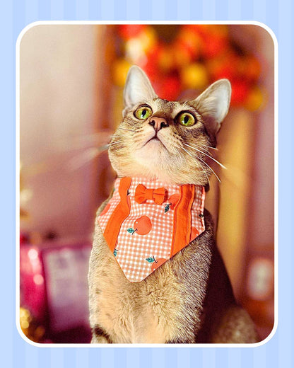 Cat Bandanas from Wags4Whiskers Pet Accessories Store India