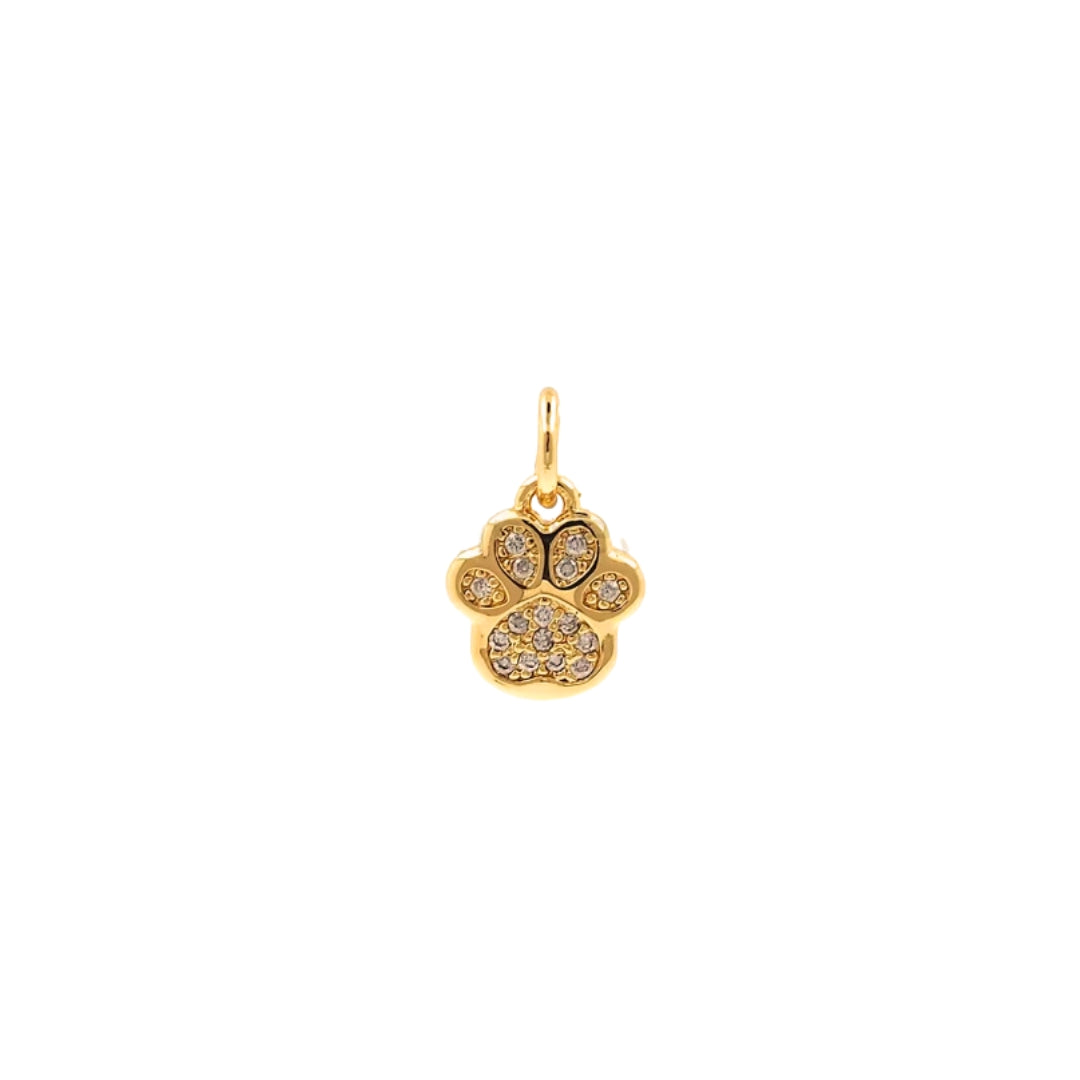 Paw designed Jewellery for Women online India