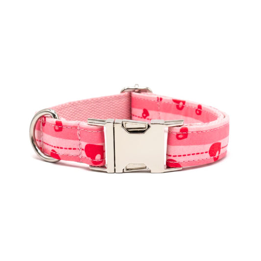 Dog collars India from Wags4Whiskers Pet Supplies Store India