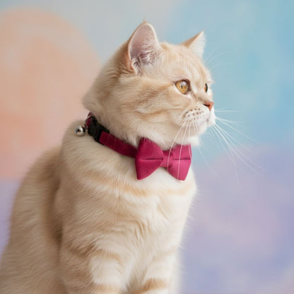 Pink Velvet Cat Collar with Bow