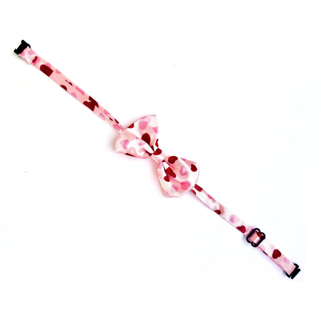 Heart Cat Bow Ties from Wags4Whiskers Cat Accessories Store India