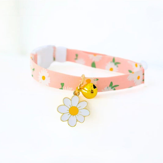 cat collar belts from Wags4Whiskers Pet Accessories Store in India