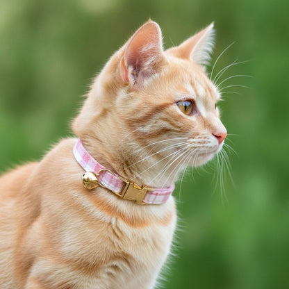Pink Cat collar from Wags4WhiskersPet Supplies Store India