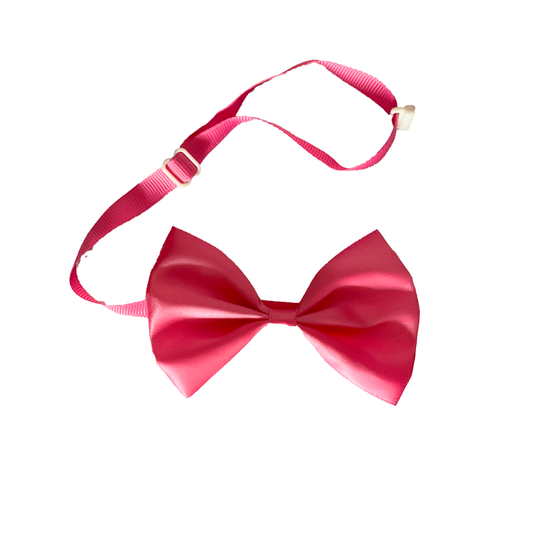 Pink cat bows from Wags4Whiskers Pet Accessories Store India