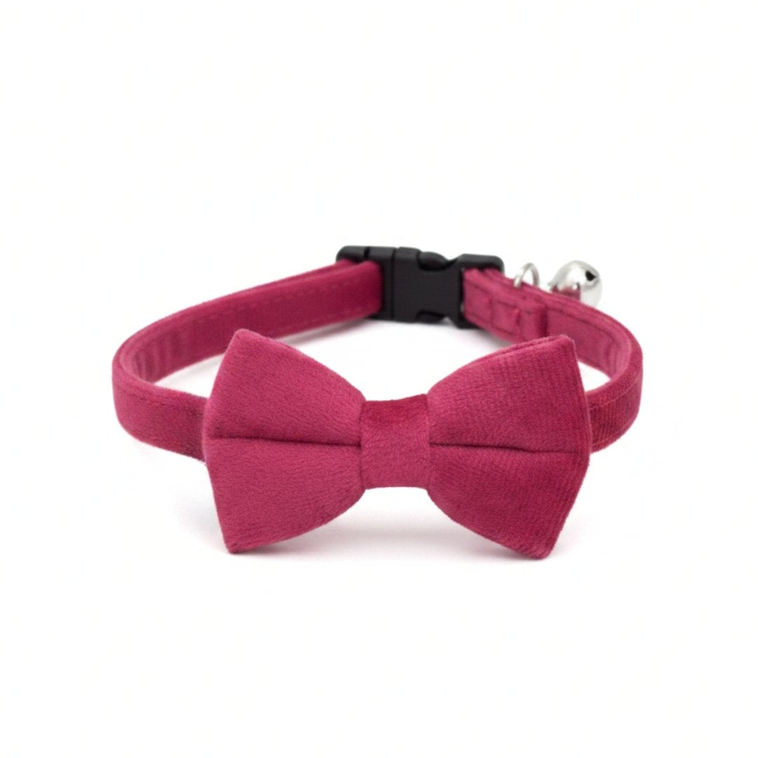 Velvet Cat Collars from Wags4Whisers Pet Supplies India