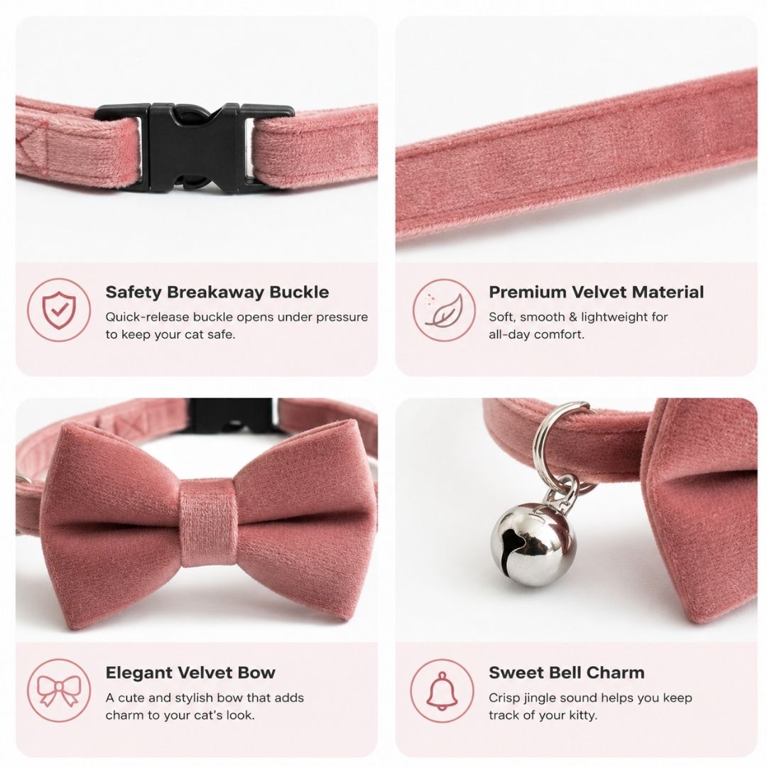 Cat Collar India from WagsWhiskers