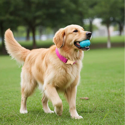 Pink Velvet Dog Collar