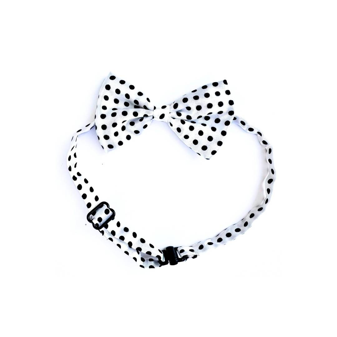 Polka Cat Bow Ties from Wags4Whiskers Pet Accessories Shop India