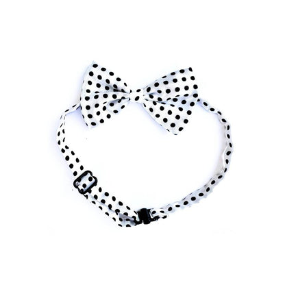 Polka Cat Bow Ties from Wags4Whiskers Pet Accessories Shop India