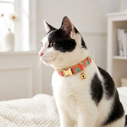 Cat Collar Belts from Wags4Whiskers Pet Supplies Store India