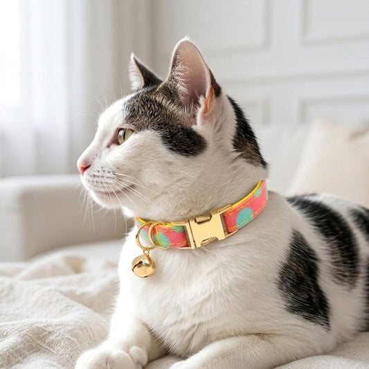 Cat Collar Belts from Wags4Whiskers Pet Supplies Store India