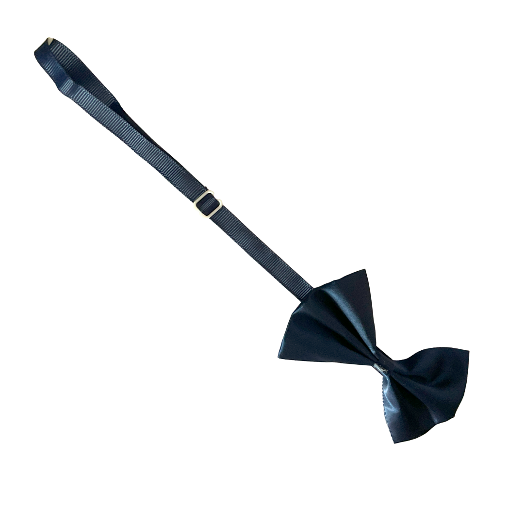 Cat Bow Tie from Wags4Whiskers Pet Accessories Store India