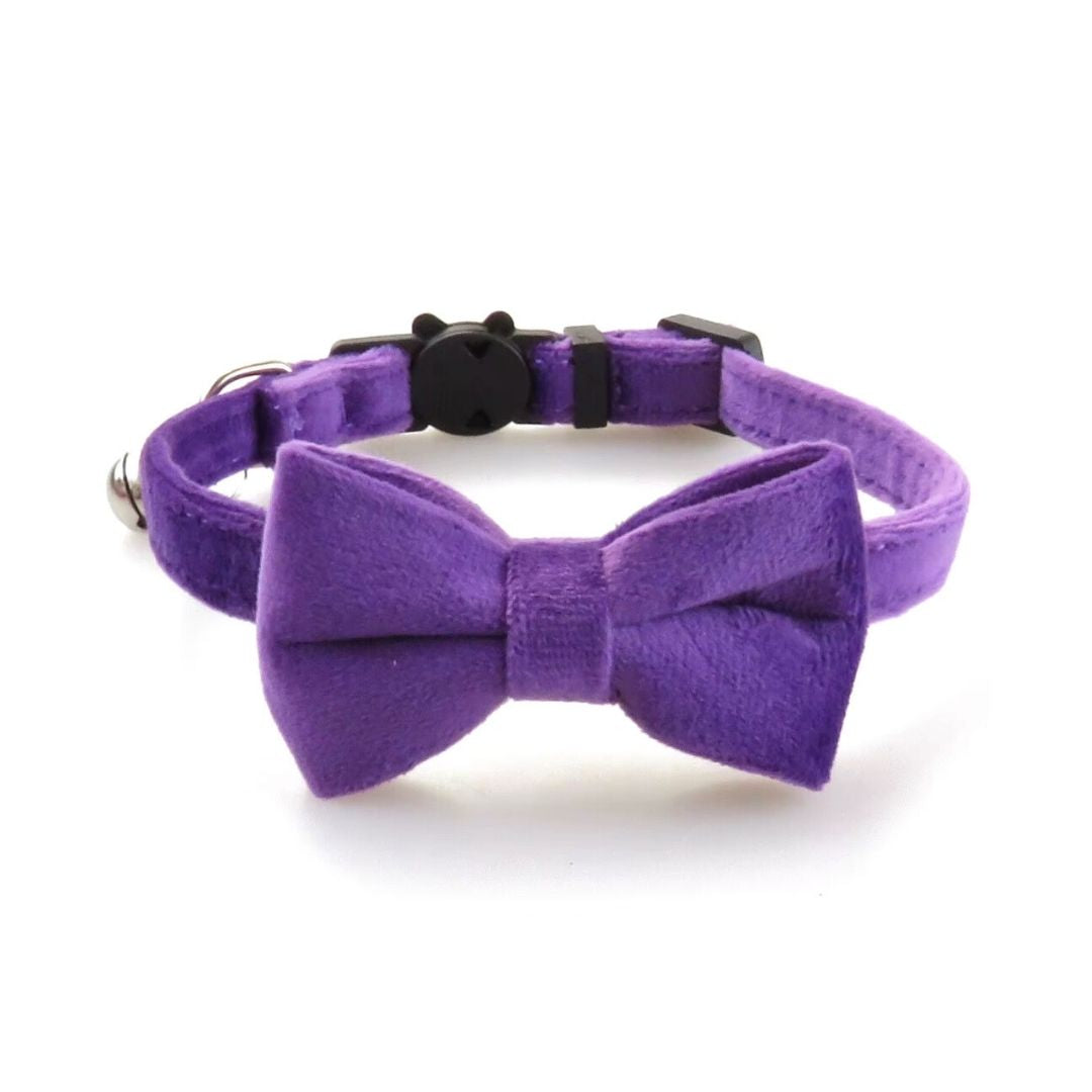 Bow Cat Collar from Wags4Whiskers Pet Accessories Store India